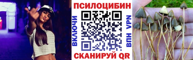 Галлюциногенные грибы мухоморы  купить закладку  omg ССЫЛКА  Боровск 